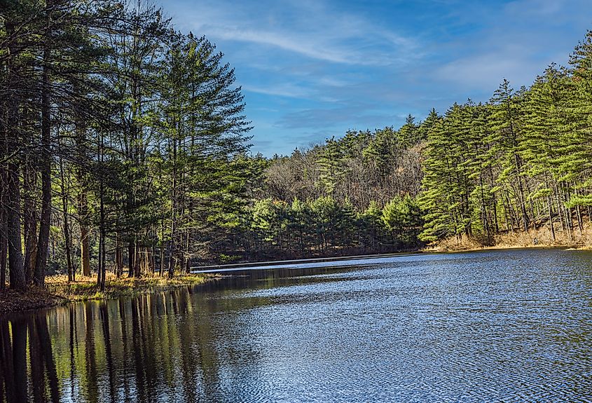 Vue de Pearl Hill Brook Pond dans le parc d'État de Pearl Hill, Massachusetts.