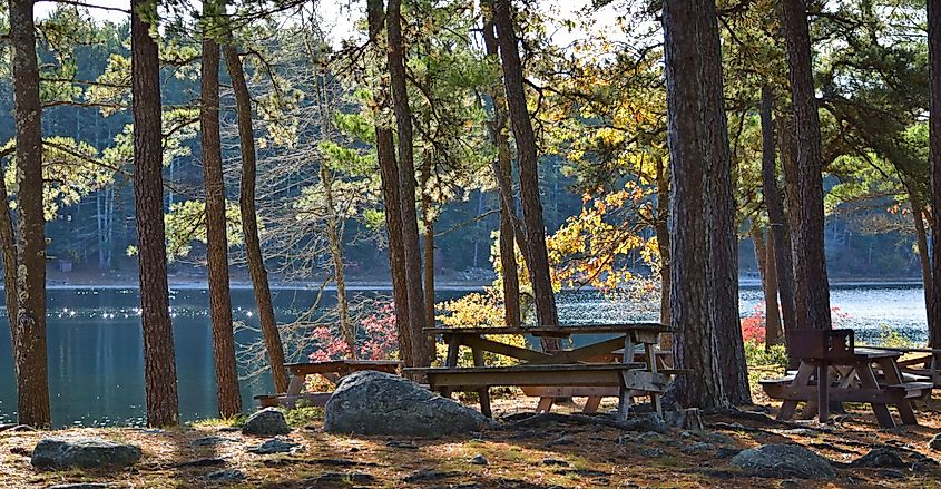 Forêt d'État de Myles Standish près du Mirbeau Inn & Spa dans le Massachusetts.