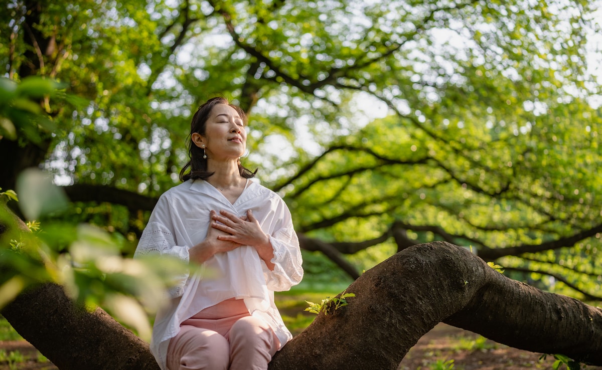 Bains de forêt. Photo : iStock