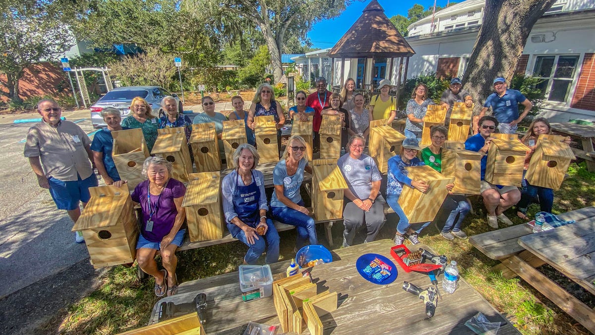 Des jardiniers bénévoles récoltent des bienfaits pour le bien-être