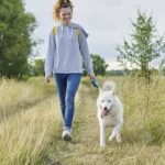 « 4 révélations surprenantes : Pourquoi marcher à vos côtés n’est pas idéal pour votre chien, selon les experts vétérinaires »