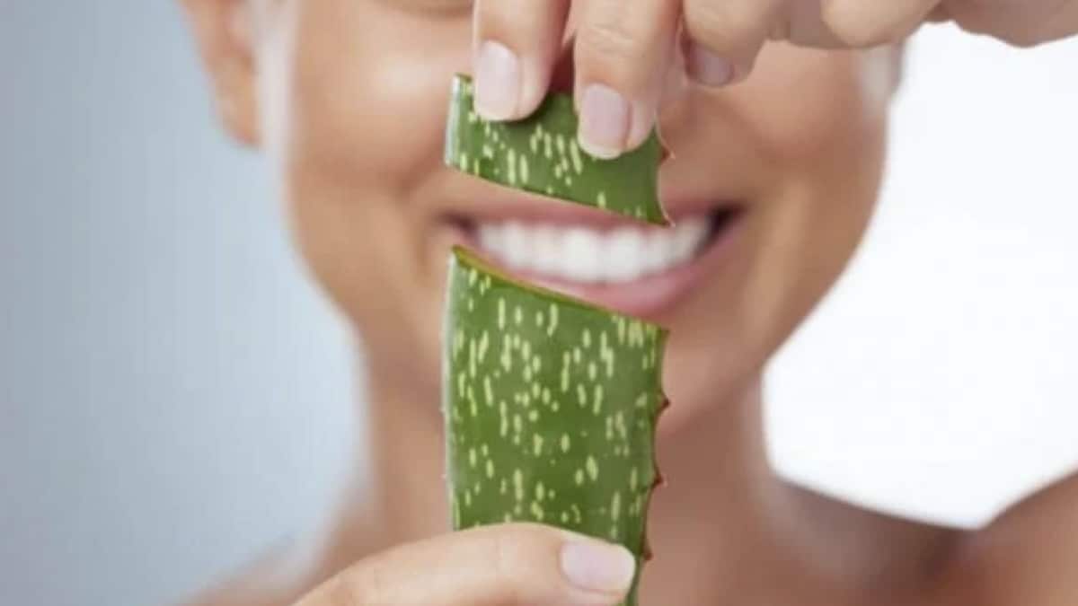 Découvrez comment créer votre propre crème anti-âge à base de cette plante miracle pour booster votre collagène !