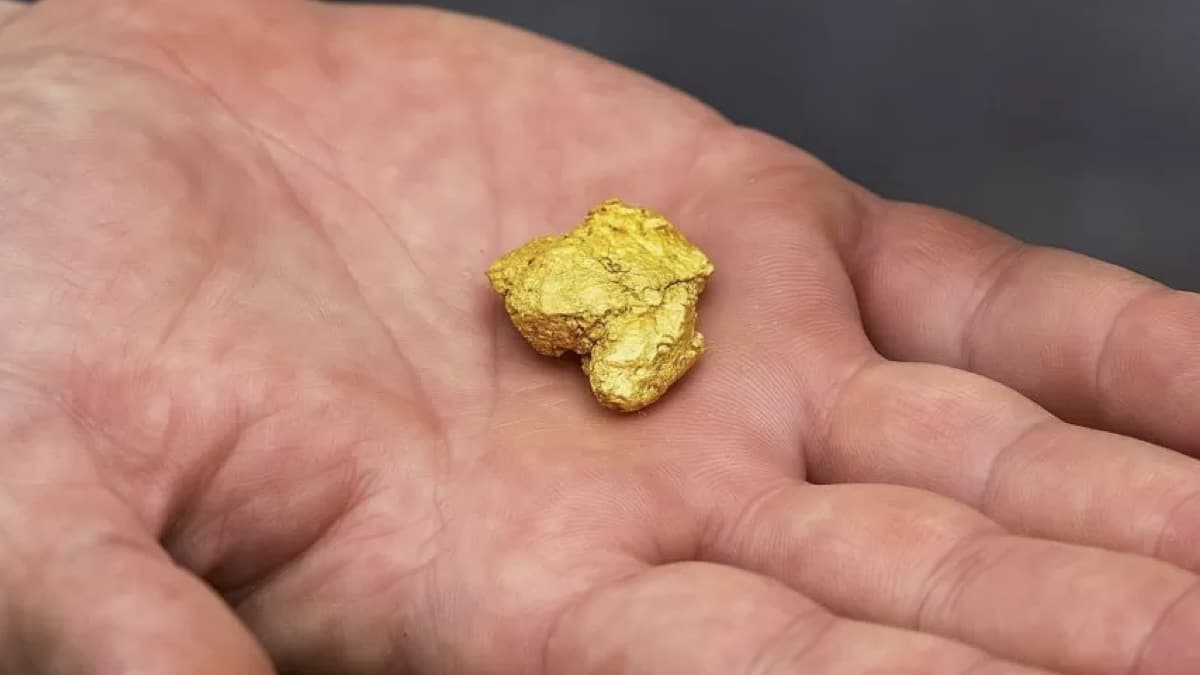 Découvrez l’appareil électroménager inattendu qui recèle de l’or 22 carats chez vous !