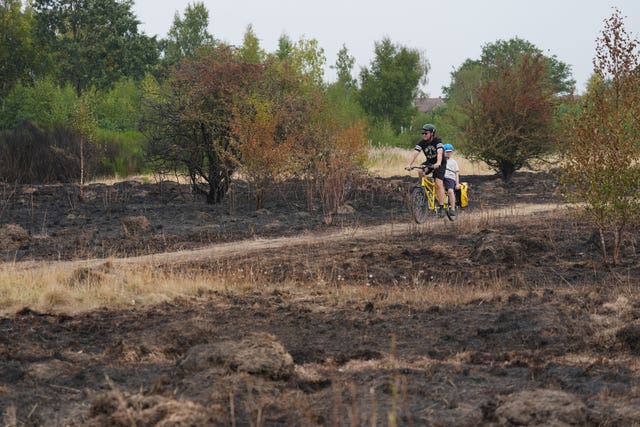 Champs brûlés après un incendie à Wanstead Flats, au nord-est de Londres