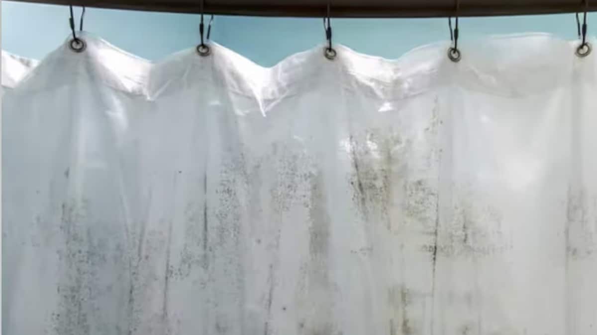 3 Trucs Malins pour Dire Adieu à la Moisissure sur vos Rideaux de Douche !