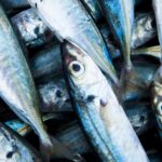 Quatre poissons riches en oméga-3 sur le point de disparaître !