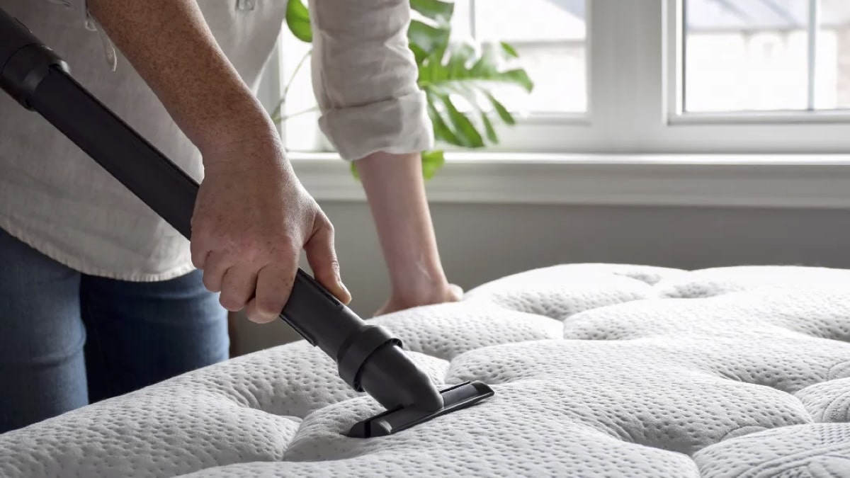 Découvrez le Secret Imparable des Experts en Ménage pour Éliminer l’Humidité de Votre Chambre !