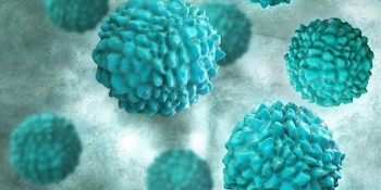 El brote de norovirus en