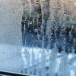 Le Secret Étonnant pour Éloigner l’Humidité de Vos Murs Cet Automne !