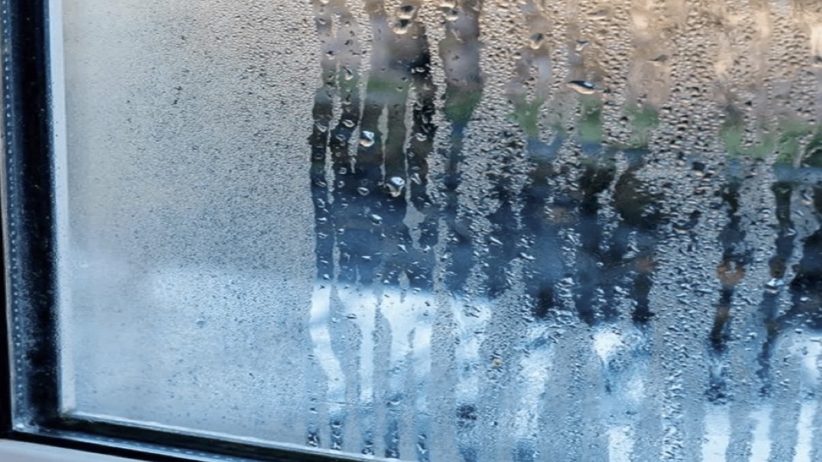 Le Secret Étonnant pour Éloigner l’Humidité de Vos Murs Cet Automne !