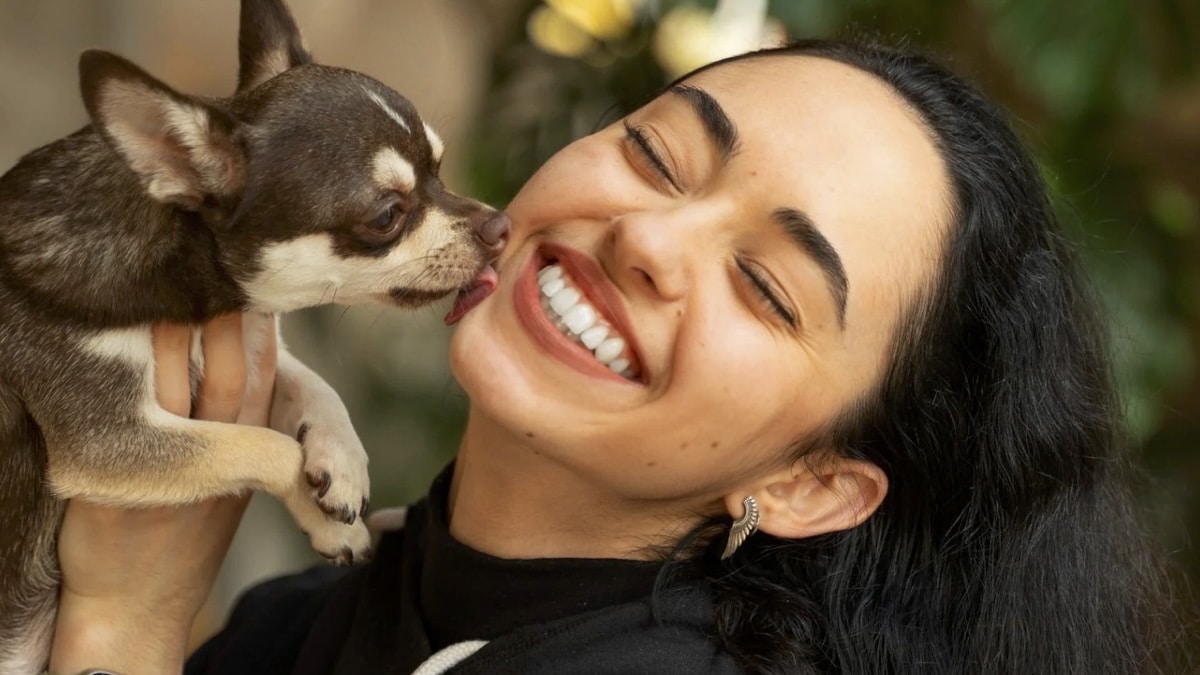 Les Secrets pour Déceler le Bonheur de Votre Chien, Dévoilés par des Vétérinaires