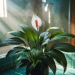 Une plante miracle : dites adieu aux odeurs et à l’humidité selon les spécialistes !