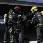 Blessés par la chute d’une branche d’arbre à Palma-Palmilla