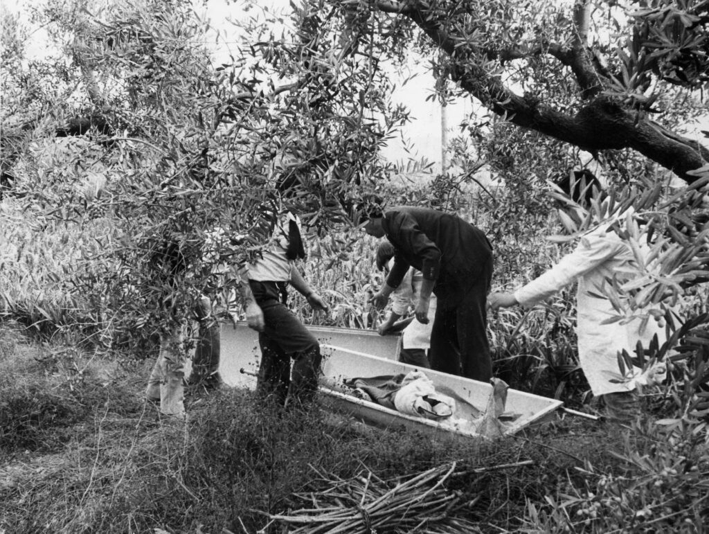 Monstre de Florence : Un mystère plus complexe qu’un homme seul