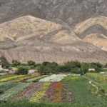Week-end prolongé : les deux charmants villages argentins plébiscités par la ONU