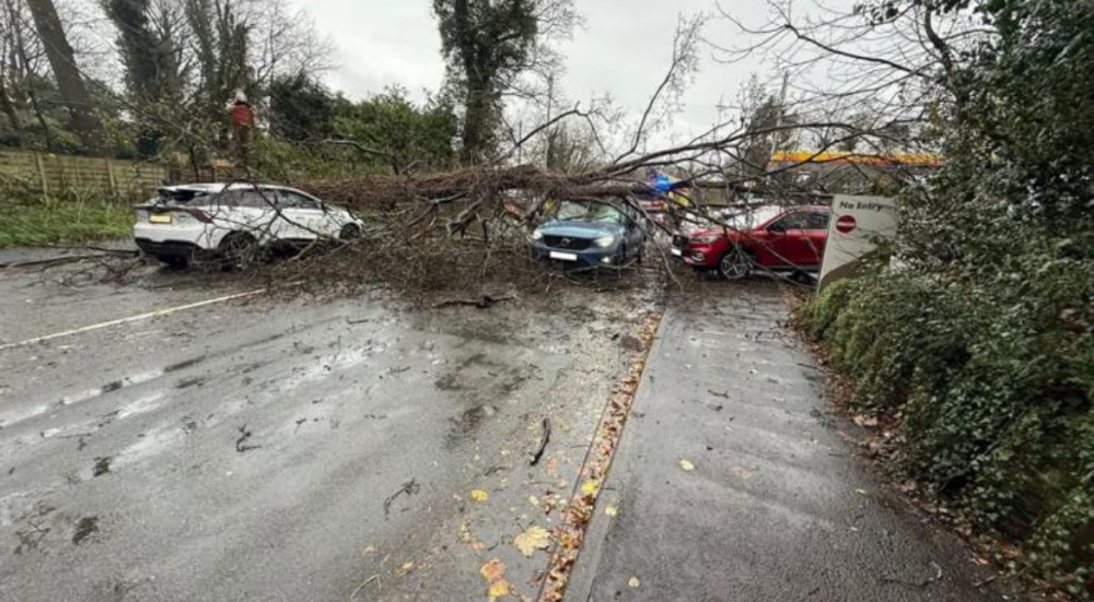 Arbre tombé écrase plusieurs voitures sur Manchester Road