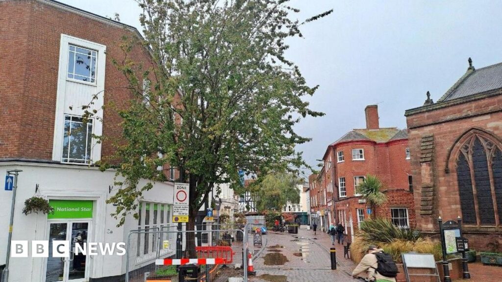 Cœur de Hereford : Un cerisier va disparaître !