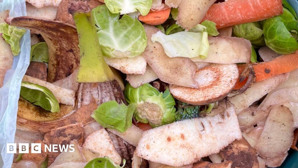 Coût de 2 millions de livres pour la collecte des déchets alimentaires à South Norfolk