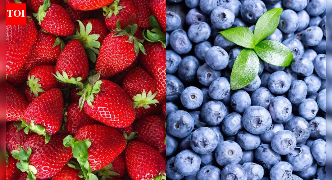 Fraises ou myrtilles : laquelle booste votre santé ?