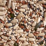 Les 2 Graines les Plus Riche en Fibres Selon les Nutritionnistes