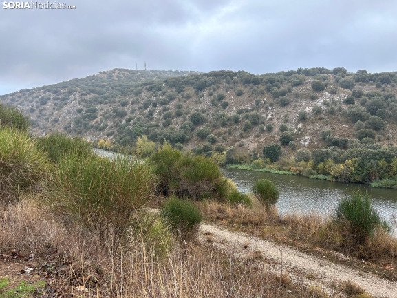 Marges du Duero et du Golmayo : à la découverte de la cueva de Zampoña