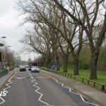 Plans de piste cyclable à Woolwich Common : 50 arbres menacés