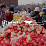 VTDigger lance une campagne de soutien pour combattre la faim et soutenir l'info locale à Thanksgiving