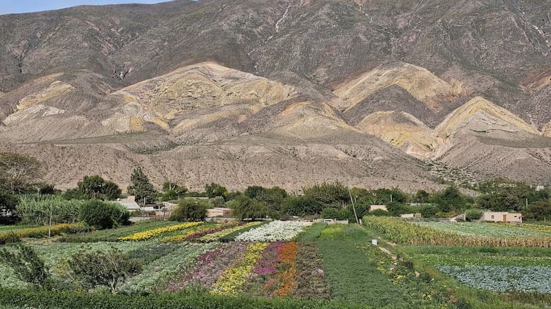 Uno de los pueblos argentinos reconocido por la ONU.