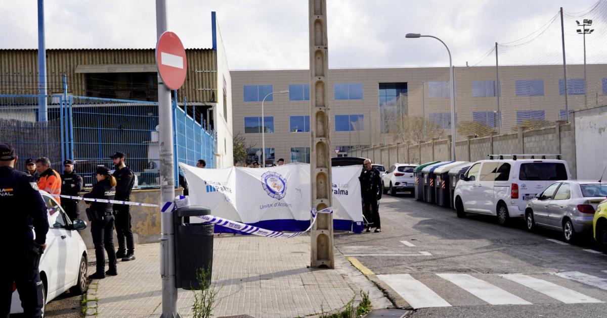 Conducteur distrait : un témoin révèle qu'il utilisait son portable lors du drame au Coll d'en Rabassa