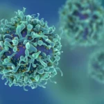 Éléments nutritionnels augmentant le risque de cancer