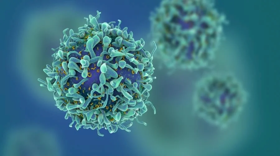 Éléments nutritionnels augmentant le risque de cancer