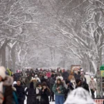 Hiver glacial paralyse les vols dans le Nord-Est des USA
