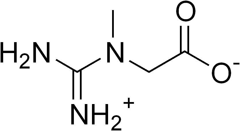 Structure chimique de la créatine