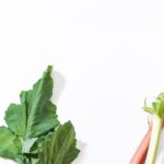 Les 13 Meilleurs Aliments Riches en Vitamine E, Selon les Nutritionnistes