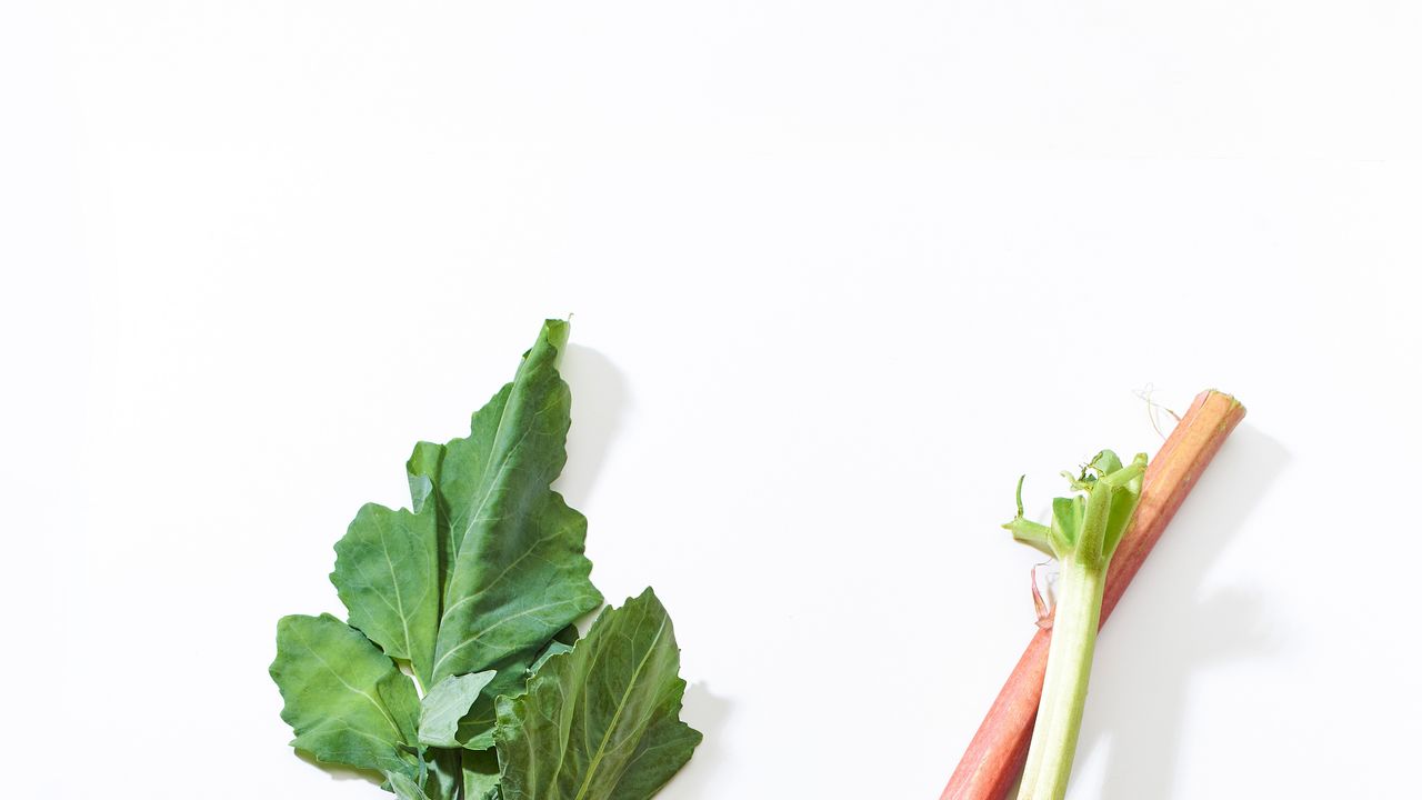 Les 13 Meilleurs Aliments Riches en Vitamine E, Selon les Nutritionnistes