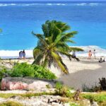 Où partir au soleil en janvier ? Top destinations hivernales 2026