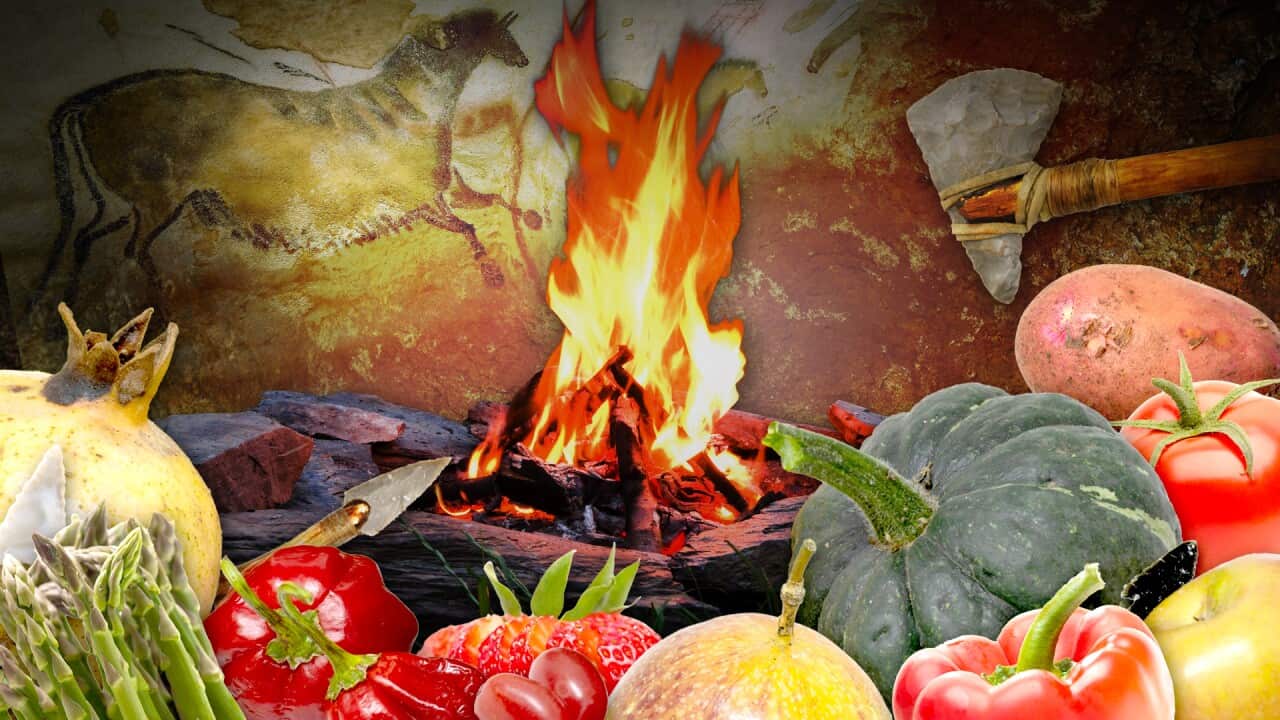Régime paléo : mangez comme nos ancêtres, découvrez leur véritable alimentation !