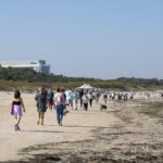 Swinemünde annonce un méga-pont au cœur des dunes