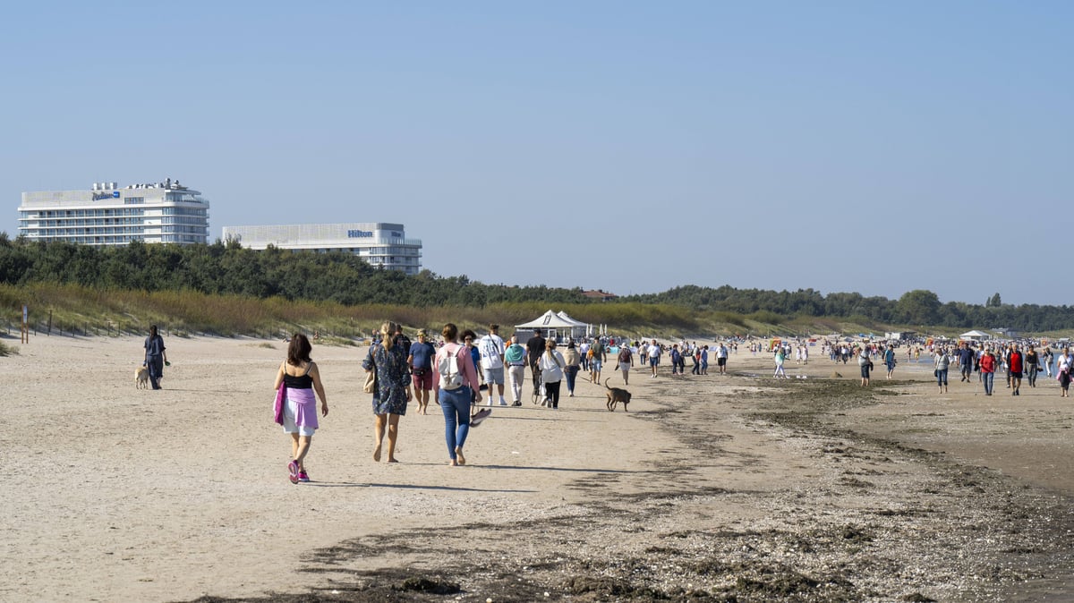 Swinemünde annonce un méga-pont au cœur des dunes