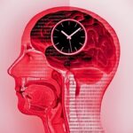Un Régime de Jeûne Transforme la Chimie du Cerveau Humain