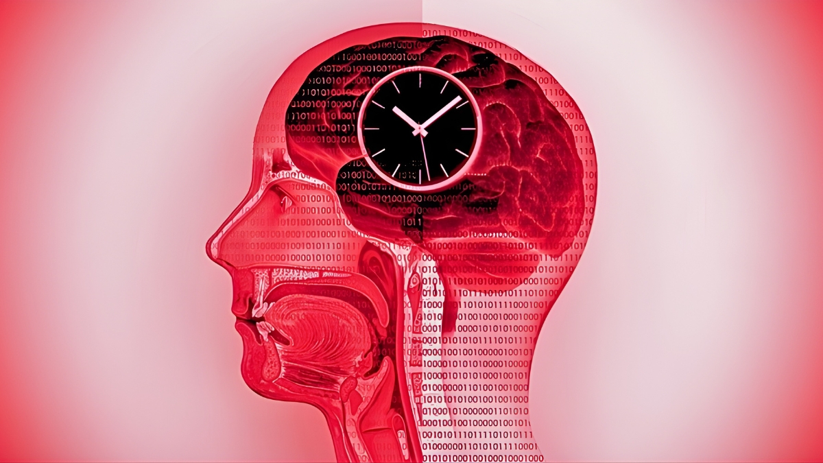 Un Régime de Jeûne Transforme la Chimie du Cerveau Humain