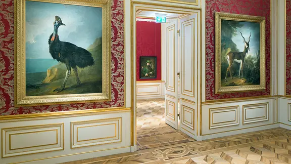 La salle dite du roi au château de Ludwigslust