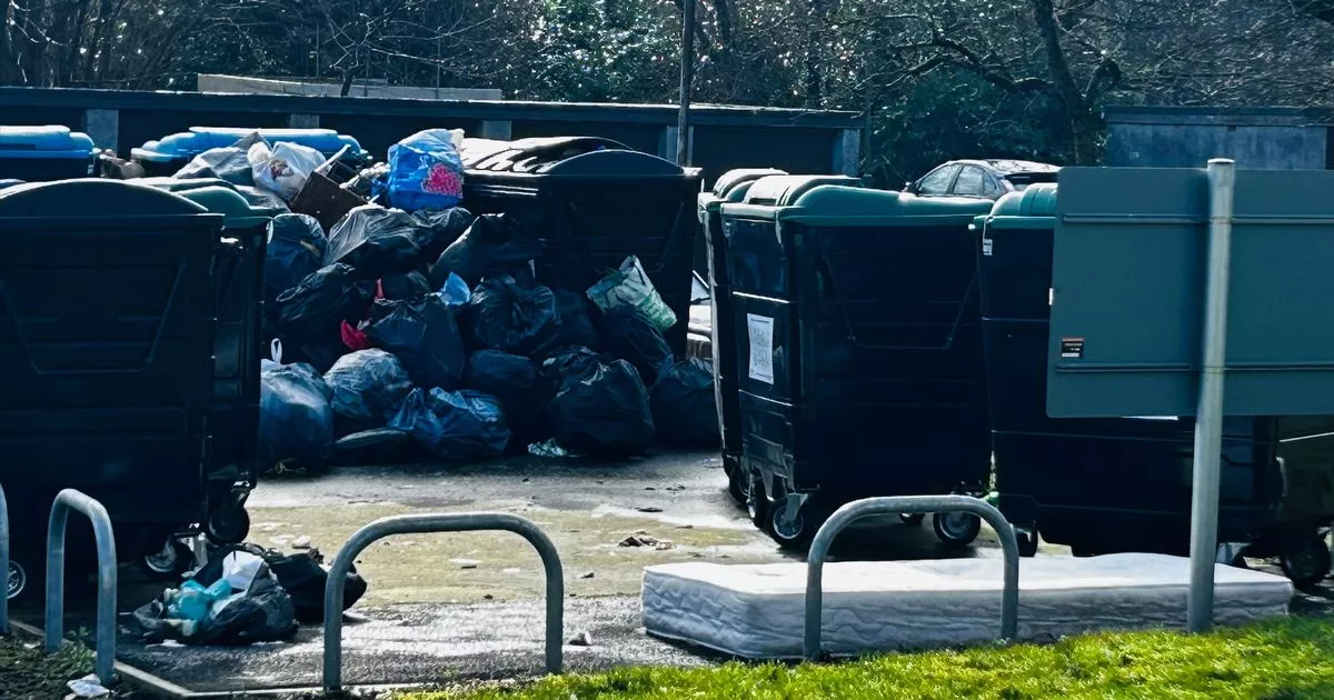 West Lothian réévalue ses services d'enlèvement d'objets encombrants pour lutter contre les dépôts sauvages de déchets verts