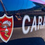 Aggressé et percuté : un homme de 31 ans blessé à Padru