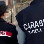 Blitz des Carabinieri : cinq activités suspendues et amendes record