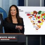 La nouvelle pyramide alimentaire : qu'est-ce qui a changé ?