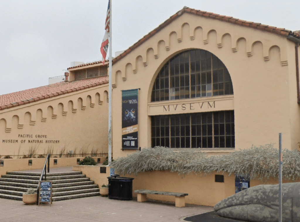 Le musée d'histoire naturelle de Pacific Grove dévoile une exposition et des événements captivants pour 2026