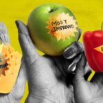 Les bienfaits nutritionnels des aliments au fil de l'âge