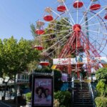 Les gestionnaires qui dynamiseront le Parc d'Attractions de Zaragoza