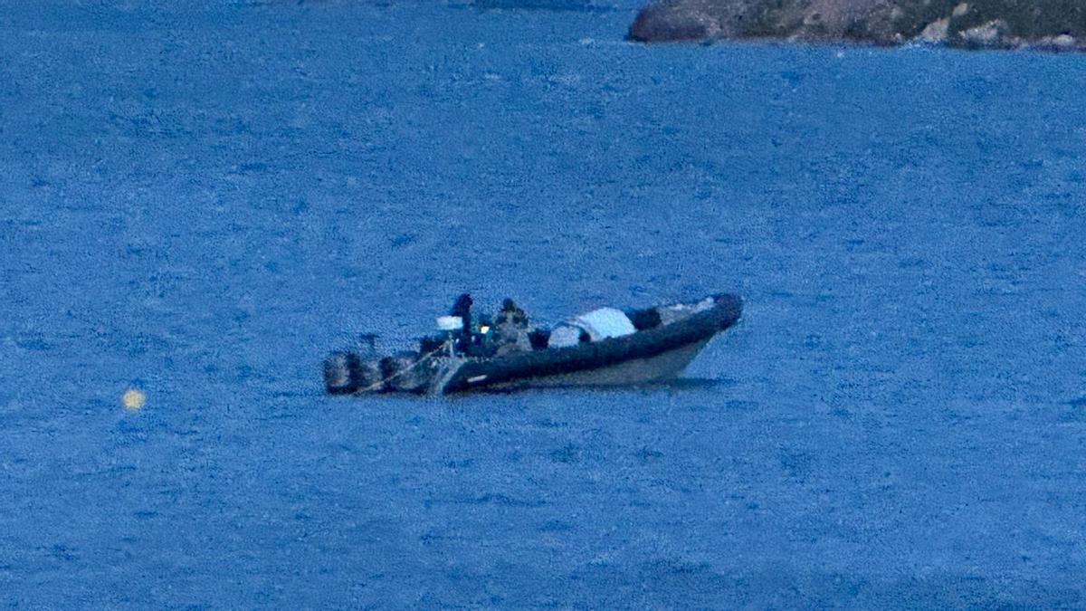 Narcolancha captée dans la zone d'Águilas.